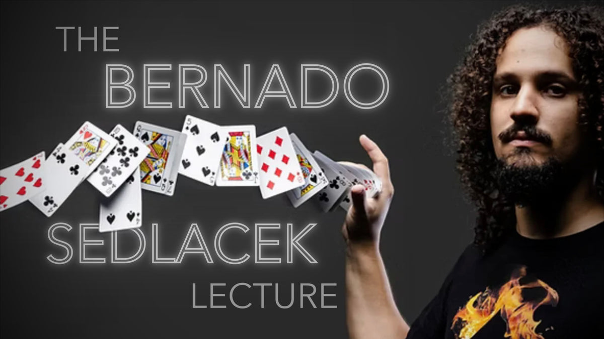 The Bernardo Sedlacek Lecture